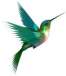 COM_KUNENA_LIB_AVATAR_TITLE
